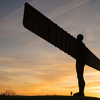 Buy canvas prints of The Angel of the North, Gateshead - Sunset by David Graham