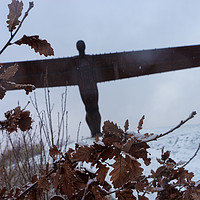 Buy canvas prints of Angel of the North in the snow by David Graham
