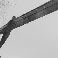 Buy canvas prints of Angel of the North in the snow by David Graham