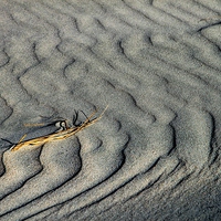 Buy canvas prints of  Ripples in the sand by Geoffrey Matthews