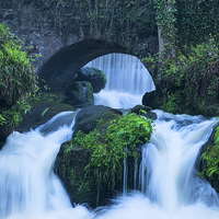Buy canvas prints of Rouken Glen Waterfall by Jason Tait