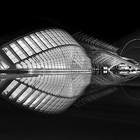 Buy canvas prints of The Fish of Valencia by Jason Tait