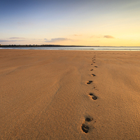 Buy canvas prints of Footprints  by Graham Daly