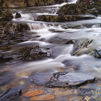 Buy canvas prints of  Nohoval Cove Stream by Graham Daly