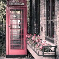 Buy canvas prints of  The Telephone Box by Sara McAllister