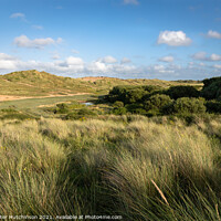 Buy canvas prints of Braunton Burrows sand dunes by Daryl Peter Hutchinson