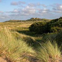 Buy canvas prints of Braunton Burrows sand dunes North Devon by Daryl Peter Hutchinson