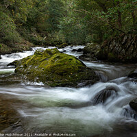 Buy canvas prints of The East Lyn River near Watersmeet, Lynmouth. Devon by Daryl Peter Hutchinson