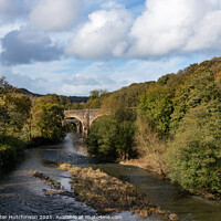 Buy canvas prints of Rothern Bridge and the New Bridge over the River Torridge, Torrington by Daryl Peter Hutchinson