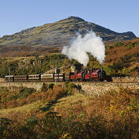 Buy canvas prints of Snowdonian autumn steam by Daryl Peter Hutchinson