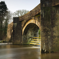 Buy canvas prints of Under the bridge by Daryl Peter Hutchinson