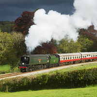 Buy canvas prints of 34007 Wadebridge on the Bodmin & Wenford Railway by Daryl Peter Hutchinson