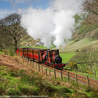 Buy canvas prints of No.2 Dolgoch and No.1 Talyllyn in original Crimson Lake livery by Daryl Peter Hutchinson