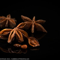 Buy canvas prints of Star anise by Daryl Peter Hutchinson