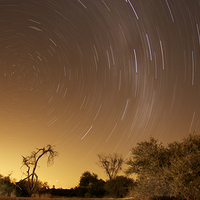 Buy canvas prints of  African star trails by Petronella Wiegman