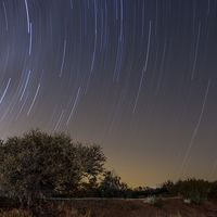 Buy canvas prints of African star trails by Petronella Wiegman