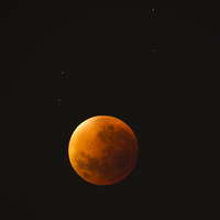 Buy canvas prints of  Blood moon by Petronella Wiegman