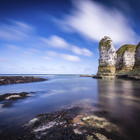 Buy canvas prints of Selwick Bay Stack by Neil Cameron