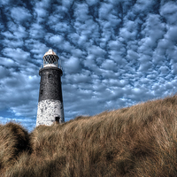 Buy canvas prints of  Spurn Lighthouse and Clouds by Neil Cameron