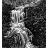 Buy canvas prints of  Yorkshire Foss by David Portwain
