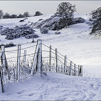 Buy canvas prints of Hadleigh pathway in snow by David Portwain