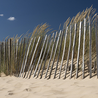 Buy canvas prints of  Walberswick, Suffolk by Neil Almnond