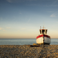 Buy canvas prints of  Rebecca of Dungeness by Neil Almnond