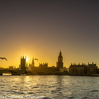 Buy canvas prints of Evening over River Thames by Peter Schneiter