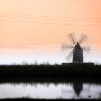 Buy canvas prints of Evening windmill by Peter Schneiter