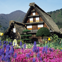 Buy canvas prints of  Traditional house, Shirakawa-go, Japan by Peter Schneiter