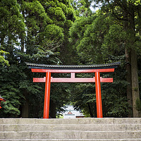 Buy canvas prints of Entrance to Kirishima-Jingu Shrine, Kyushu, Japan. by Peter Schneiter