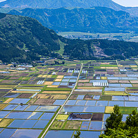 Buy canvas prints of Rice fields, Aso Town, Kyushu, Japan by Peter Schneiter