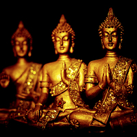 Buy canvas prints of  Three peaceful golden Buddha statues in different by Julian Bound