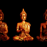 Buy canvas prints of Three golden Buddhas by Julian Bound