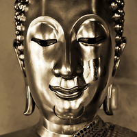 Buy canvas prints of Buddha from Thailand in sepia tones by Julian Bound