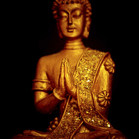 Buy canvas prints of  Thai Buddha in prayer by Julian Bound