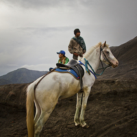Buy canvas prints of Horsemen of Bromo volcano, Indonesia by Julian Bound