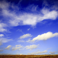 Buy canvas prints of  Lone tree with blue skies and cloud by Julian Bound