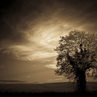 Buy canvas prints of  Autumn tree with moon in sepia by Julian Bound