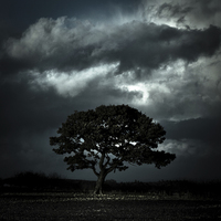 Buy canvas prints of   Autumn tree with stormy skies by Julian Bound