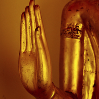Buy canvas prints of Buddha hand of Wat Pho, Bangkok, Thailand by Julian Bound