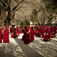 Buy canvas prints of Sera Monastery Debating Monks, Lhasa, Tibet by Julian Bound