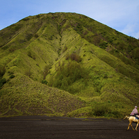Buy canvas prints of Bromo volcano and a lone horseman, Bromo, Indonesi by Julian Bound