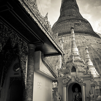 Buy canvas prints of Shwedagon Pagoda and nun, Yangon, Mynamar by Julian Bound