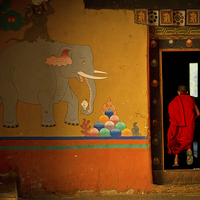 Buy canvas prints of  Novice monk, Paro, Bhutan by Julian Bound