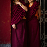 Buy canvas prints of Tibetan Buddhist nuns of Kathmandu, Nepal by Julian Bound