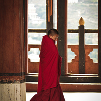 Buy canvas prints of Monk of Rinpung Dzong Fort, Bhutan by Julian Bound