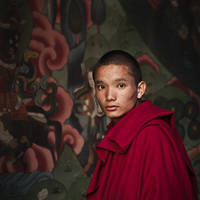 Buy canvas prints of  Monk of Rinpung Dzong Fort, Bhutan by Julian Bound
