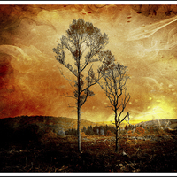 Buy canvas prints of  Armageddon by Delwyn Edwards