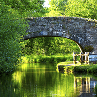 Buy canvas prints of Canal Bridge  by Delwyn Edwards